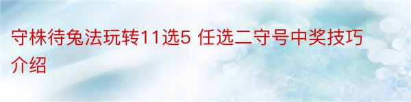 守株待兔法玩转11选5 任选二守号中奖技巧介绍