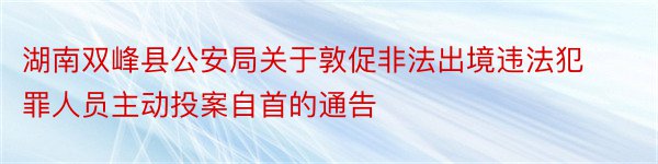 湖南双峰县公安局关于敦促非法出境违法犯罪人员主动投案自首的通告