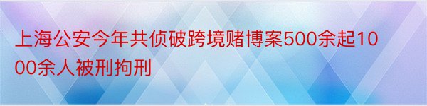 上海公安今年共侦破跨境赌博案500余起1000余人被刑拘刑